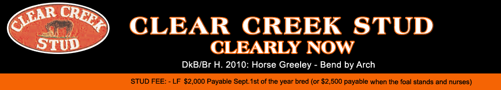Clear Creek: Custom for Carlos