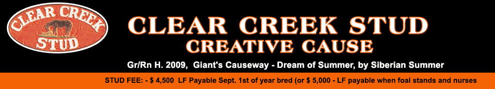 Clear Creek: Custom for Carlos