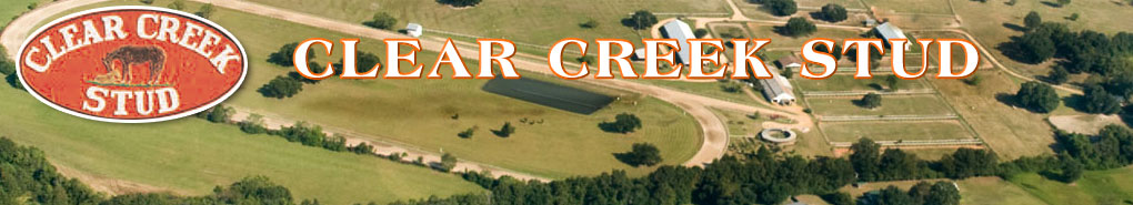Clear Creek stud: Facilities